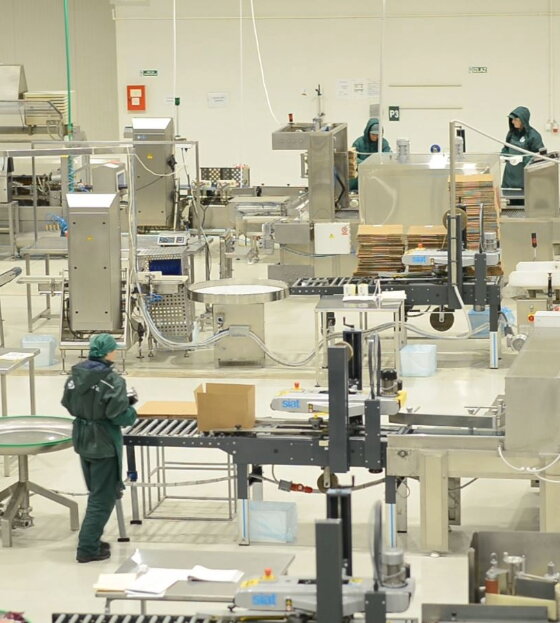 Optimizacija Skladišnih Procesa za Sirogojno Co.